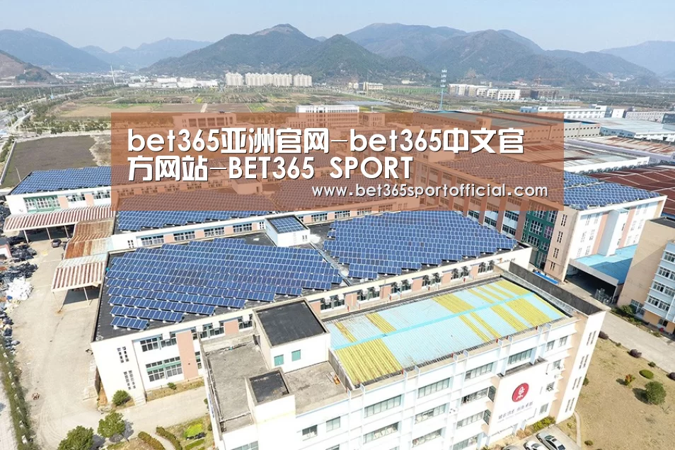 案例展示二
