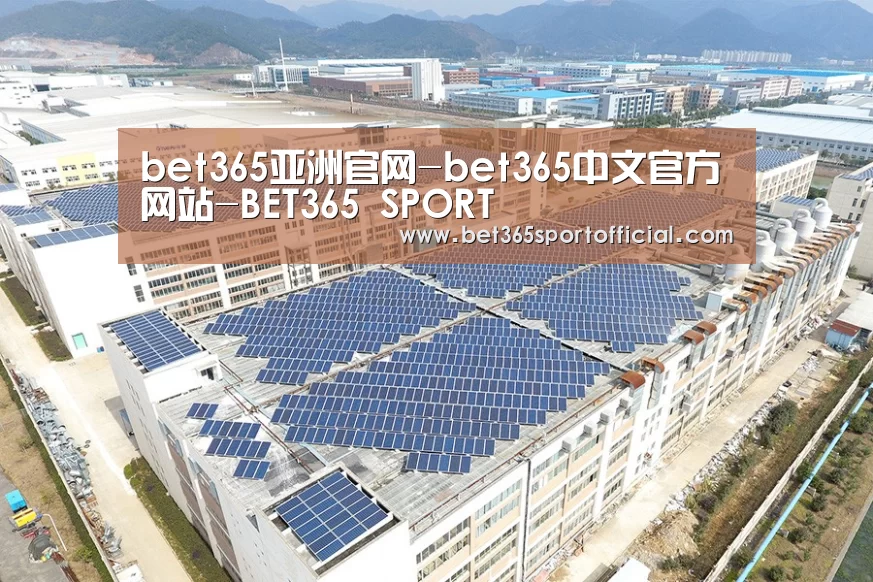 案例展示一