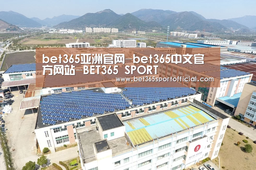 案例展示四