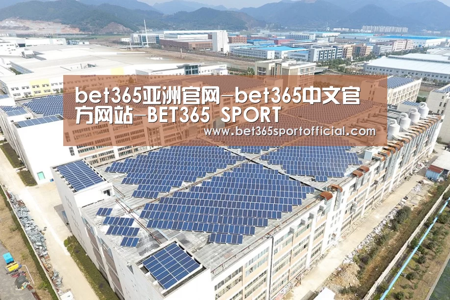 案例展示三