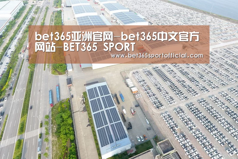 案例展示一