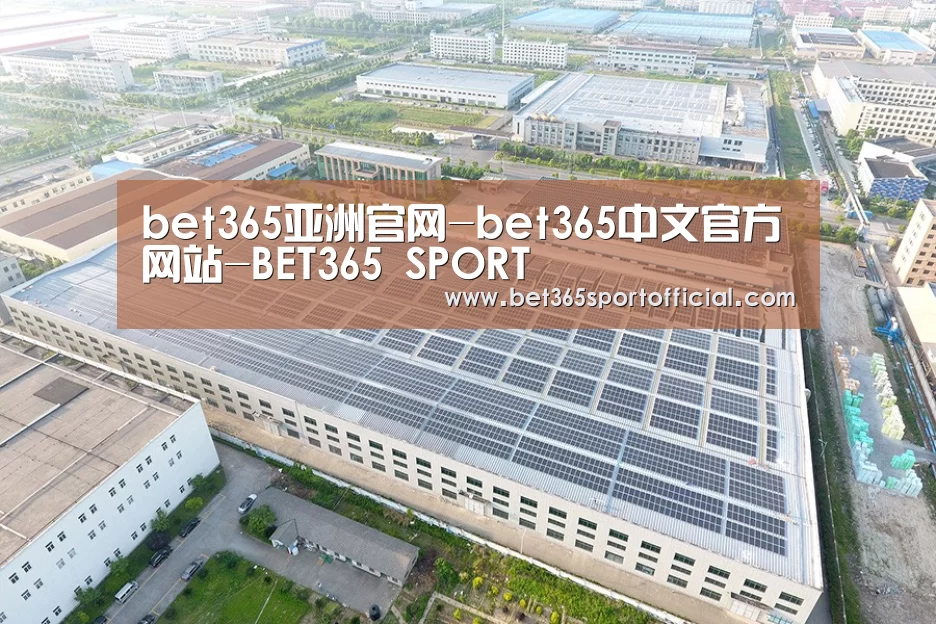 案例展示三
