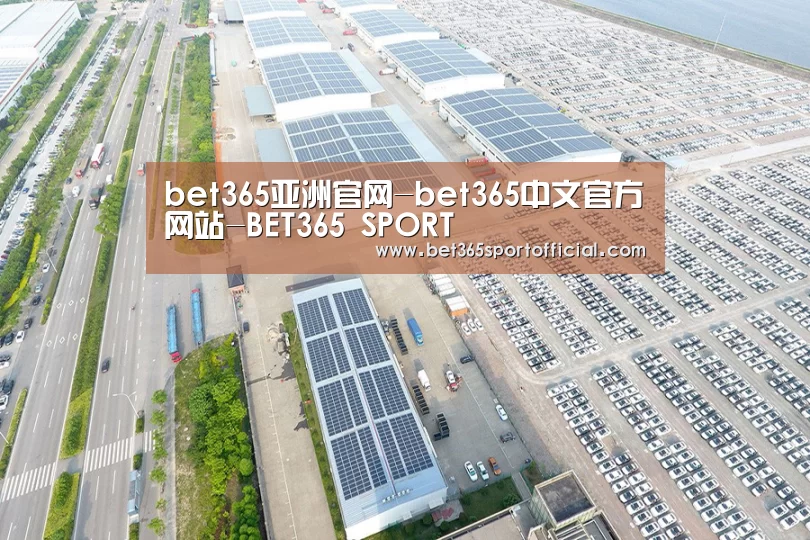 案例展示一