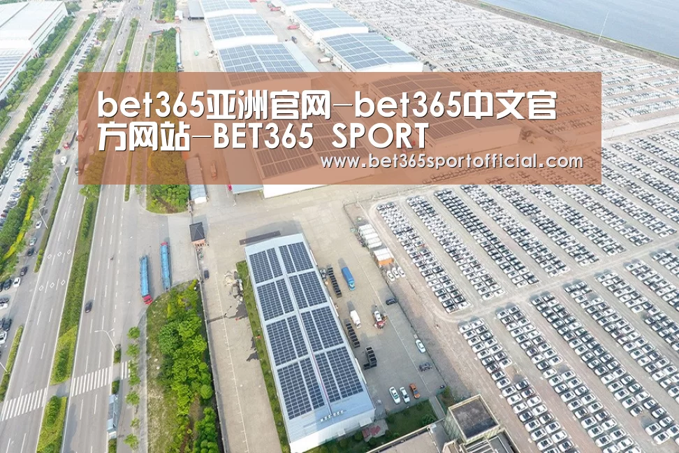 案例展示四
