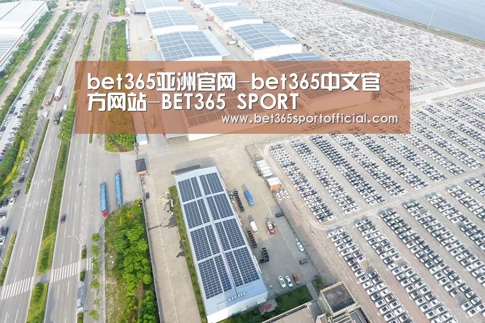 案例展示三