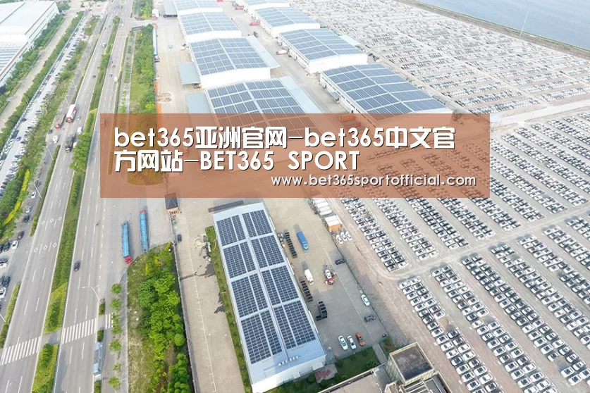 案例展示二