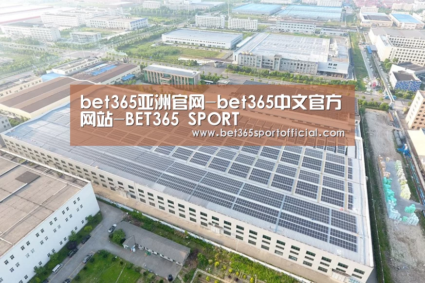 案例展示四