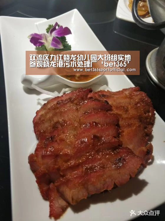 双流区九江蛟龙幼儿园大班组实地参观蛟龙港污水处理厂‘bet365’(图3)